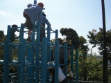 img0010.jpg