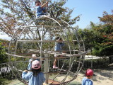img0011.jpg