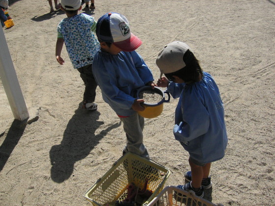 img0009.jpg