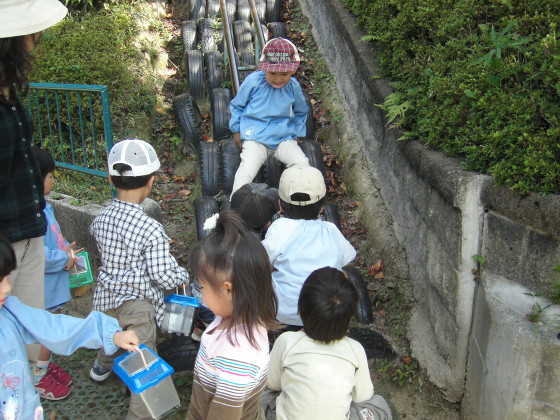 img0015.jpg