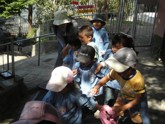 img0038.jpg