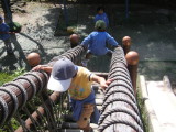 img0001.jpg