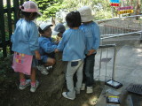 img0004.jpg