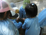 img0005.jpg