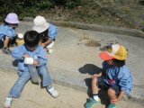 img0027.jpg