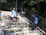 img0031.jpg