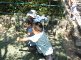 img0035.jpg