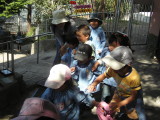 img0038.jpg