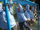 img0009.jpg