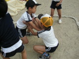 img0010.jpg