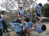 img0015.jpg