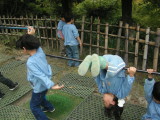 img0019.jpg