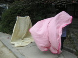 img0026.jpg