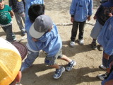 img0006.jpg