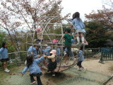 img0014.jpg