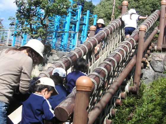 img0040.jpg