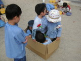 img0003.jpg