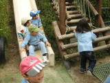 img0010.jpg