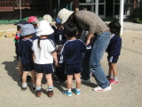 img0017.jpg