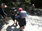 img0036.jpg