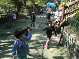 img0038.jpg