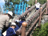 img0040.jpg