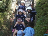img0041.jpg