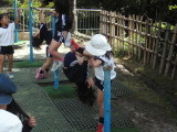img0043.jpg