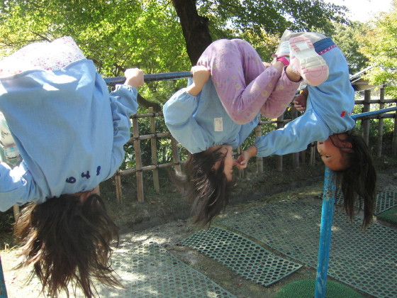 img0008.jpg