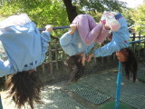 img0008.jpg