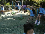 img0009.jpg