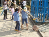 img0007.jpg