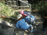 img0017.jpg