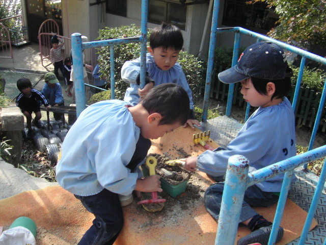 img0015.jpg