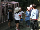 img0011.jpg