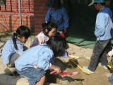 img0018.jpg
