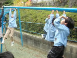 img0021.jpg