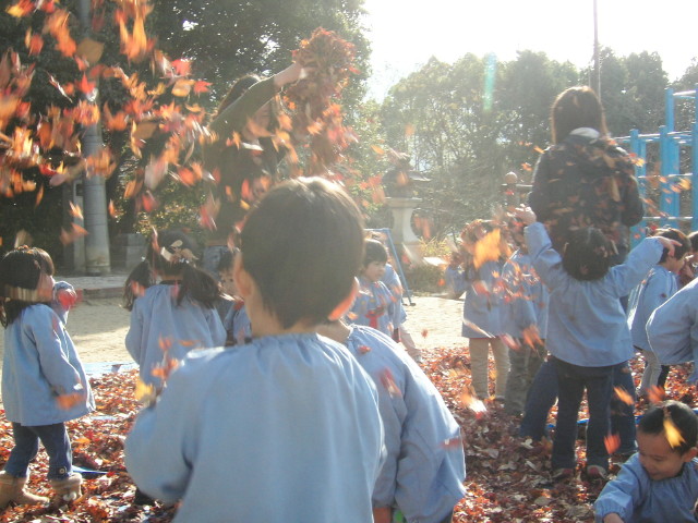 img0008.jpg
