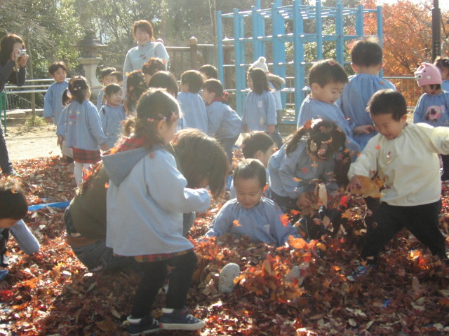 img0009.jpg