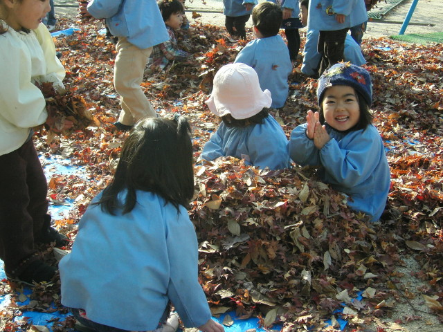 img0015.jpg
