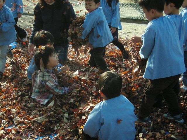 img0016.jpg