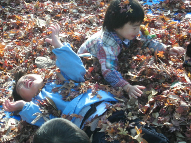 img0018.jpg