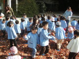 img0000.jpg