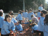 img0005.jpg