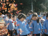 img0006.jpg