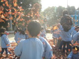 img0008.jpg