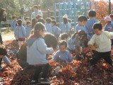 img0009.jpg