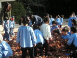 img0010.jpg