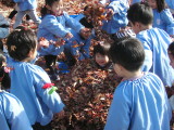 img0011.jpg