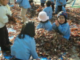 img0015.jpg